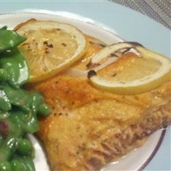 Salmon with Harissa recipe