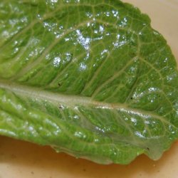 Spinach Salad Dressing recipe