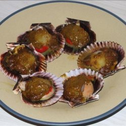 BBQ Curried Scallops in Shell recipe