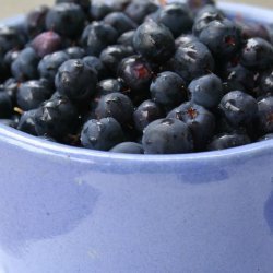 Blueberry Slump recipe