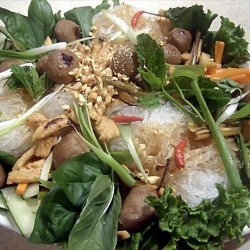 Lorie's Vietnamese Salad, Hanoi Style recipe