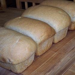 Easy Whole Wheat Bread recipe