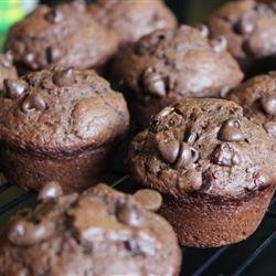 Moist Chocolate Muffins recipe