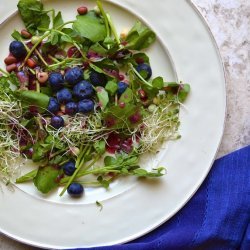 Blueberry Salad recipe