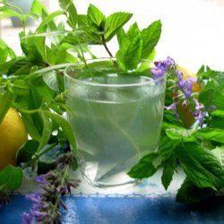 Lemon Verbena and Mint Tea - French Verveine and Mint Tisane recipe