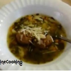 Solar Cooked Italian Style Wedding Soup With Meatballs recipe