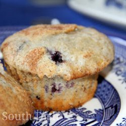 Double Blueberry Muffins recipe