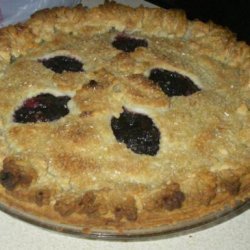 Double Crusted Blueberry Cranberry Pie recipe
