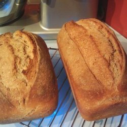 Wheat Sandwich Bread from Amish Starter recipe