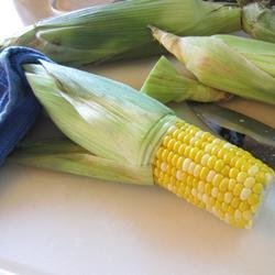 Corn On The Cob (Easy Cleaning and Shucking) recipe