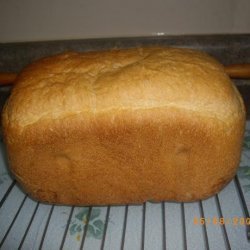 White Whole Wheat  Bread for the Abm recipe