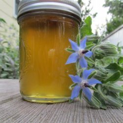 Borage Cucumber Jelly With Ginger recipe
