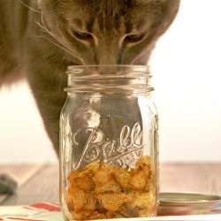 Catnip Treats (For Cats) recipe