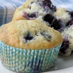 Blueberry Muffins II recipe
