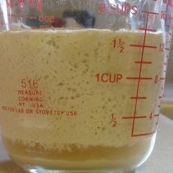 No Commercial Yeast Starter recipe