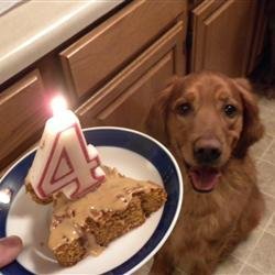 Doggie Birthday Cake recipe