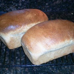 To Beer or Not to Beer - Wheat Bread (Hand or Abm Dough Cycle) recipe