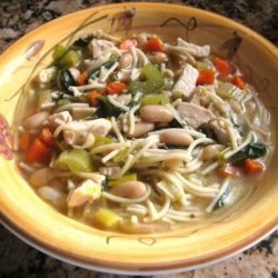 Chicken and Leek Noodle Soup recipe