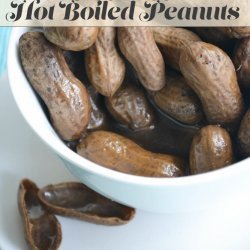 Crock Pot Boiled Peanuts recipe