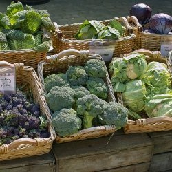 Harvest Vegetables recipe