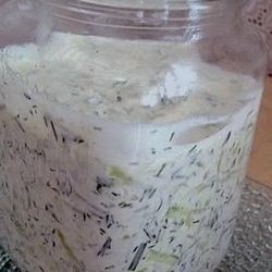 Tzatziki - Cucumber and Yoghurt Dip recipe