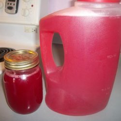 Rhubarb Raspberry Concentrate, for Canning recipe