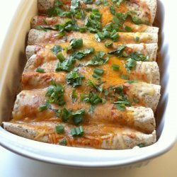 Cheesy Chicken Enchiladas recipe