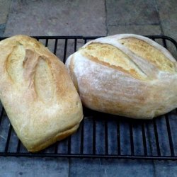 Vichyssoise (Potato-Leek) Bread recipe
