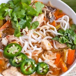 Asian Chicken Noodle Soup recipe