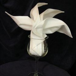 Serviette/Napkin Folding, Sydney Opera Fan in Wine Glass recipe