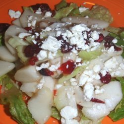 Autumn Bitter/Sweet Salad With Cranberry Vinaigrette recipe