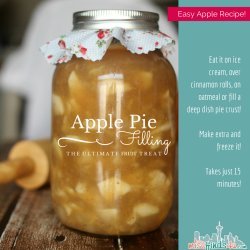 Apple Pie Filling recipe
