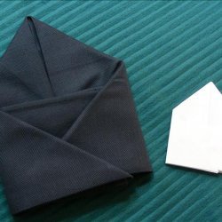 Serviette/Napkin Folding, Another Pocket Fold recipe