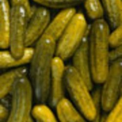 Deli Pickles - Half Sours recipe