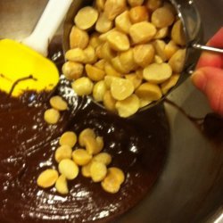 Macadamia Nut Brownies recipe
