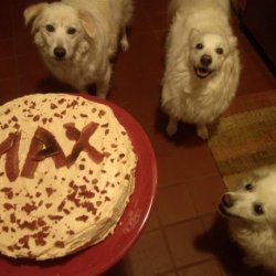 Kona K's Doggie Birthday Cake recipe