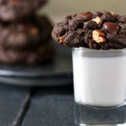 Double Chocolate Pecan Cookies recipe