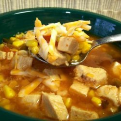 Salsa Chicken Soup recipe