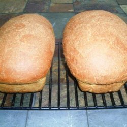 High Rising Whole Wheat Commercial Yeast  Bread recipe