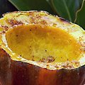 Baked Acorn Squash with Brown Sugar and Butter (Paula Deen) recipe
