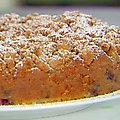 Blueberry Crumb Cake (Ina Garten) recipe