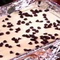 Chocolate Macadamia Cheesecake Bars (Paula Deen) recipe