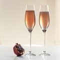 Pomegranate Champagne Cocktail (Ellie Krieger) recipe