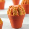 Pumpkin Cupcakes (Sandra Lee) recipe