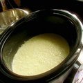 Tapioca Pudding (Alton Brown) recipe