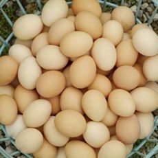 Rabbit River Farms Egg Dip recipe