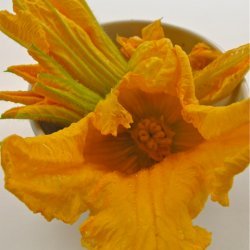 Fried Courgette Flowers recipe