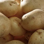 Classic Potato Melt Casserole recipe