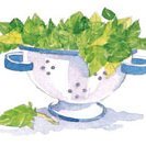 Crockpot Green Rice Casserole recipe