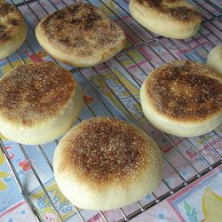 Homemade English Muffins recipe